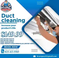 CLEAN YOUR DUST$149