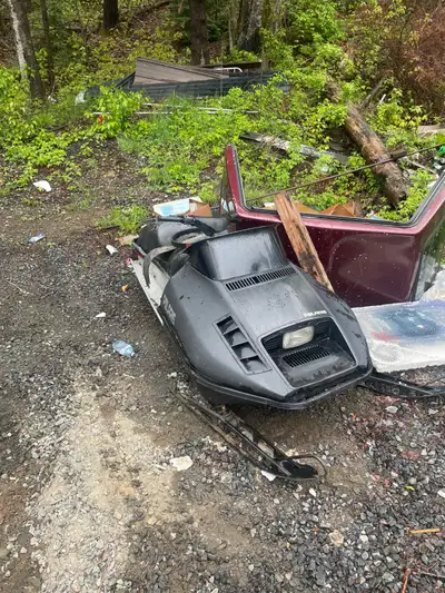 Not sure what it needs got it to start last year but kept flooding and sat since best cash offer or...