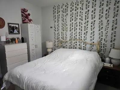 Basement for rent