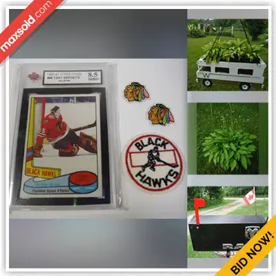 Port Hope Downsizing Online Auction - Mill Street (Jul 20), View more