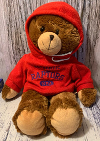 Rare 2008 NBA Authentic Raptors Plush Bear