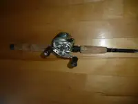 Canne moulinet baitcaster Shimano/Quantum Fishing rod reel