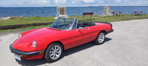 1985 Alfa Romeo Spider Graduate