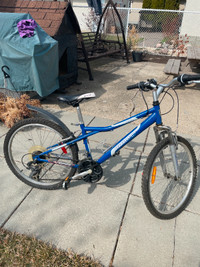 Youth mountain bike for quick sale