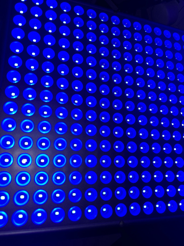 Full spectrum grow light - blue 12” X 12” in Indoor Lighting & Fans in City of Toronto - Image 4