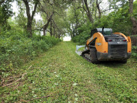 Brush cutting land clearing 