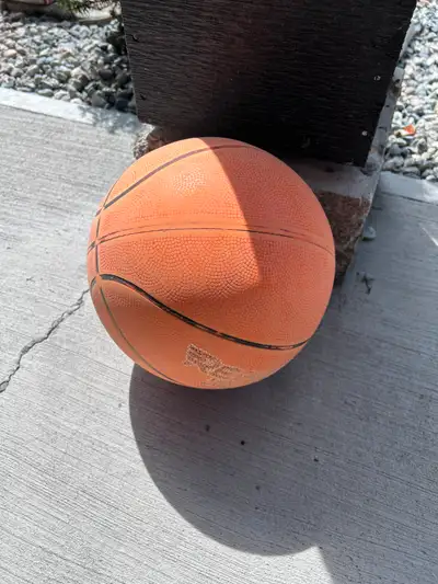 basketball, View more