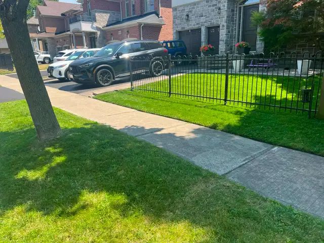 Professional Lawn Mowing/Grass cutting Services in Lawn, Tree Maintenance & Eavestrough in City of Toronto - Image 7