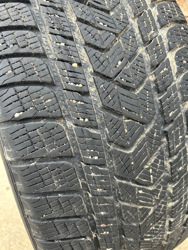 Pirelli Scorpion Winter Tires  in Tires & Rims in Winnipeg - Image 3