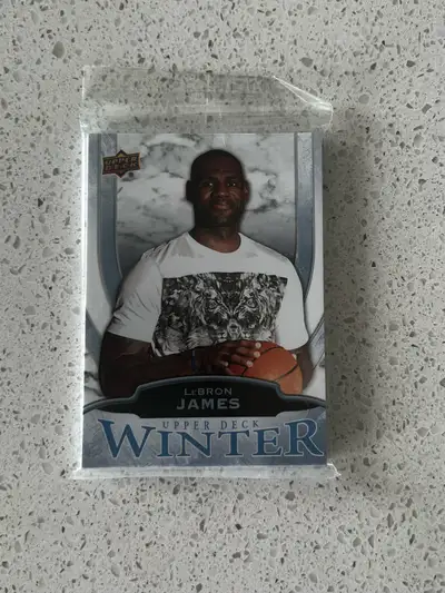 I'm offering a 2016 Upper Deck Winter LeBron James and Wayne Gretzky trading card. This card is in g...