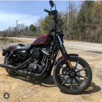 Harley davidson sportster 883xl 2019