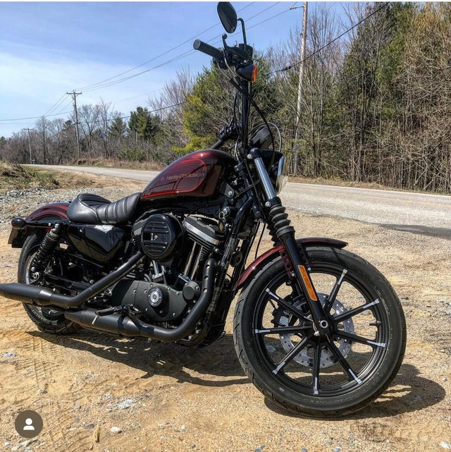 Harley davidson sportster 883xl 2019 in Touring in Gatineau