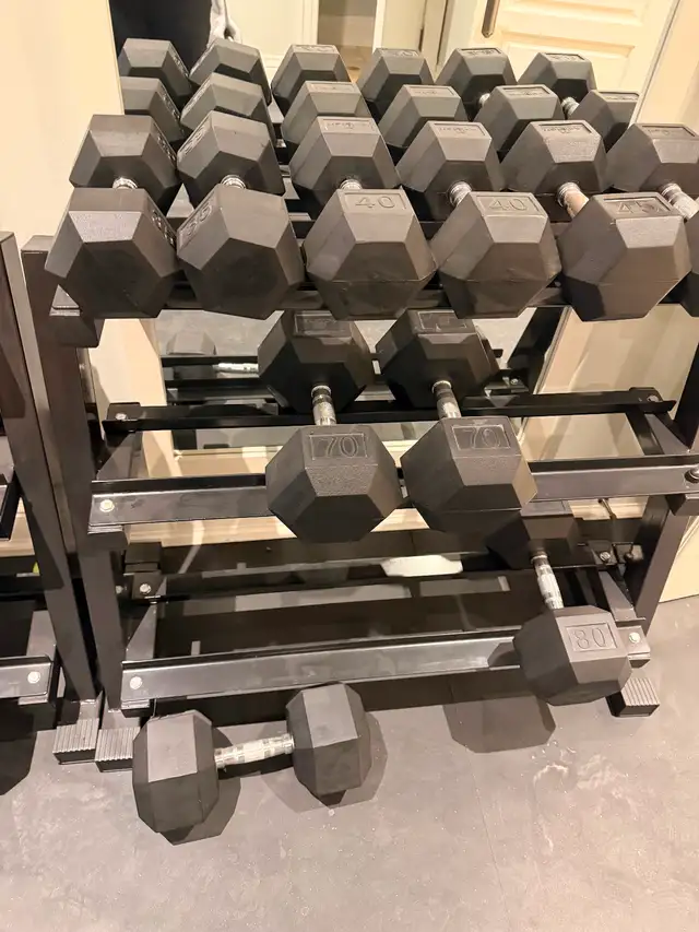 Dumbbells in Exercise Equipment in Markham / York Region - Image 3