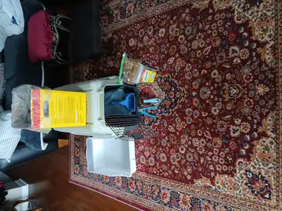 Assorted cat items, View more