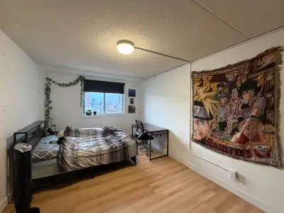 1 Bedroom in 4 Bedroom Apartment 3 Additional Room available All student male/female option availabl...