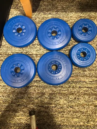 Weider plastisize weights, View more