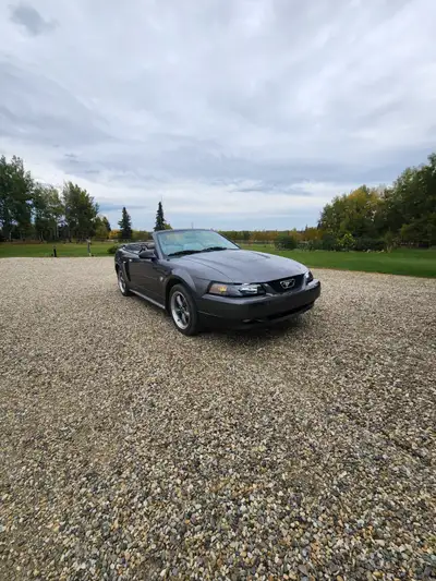 2004 Mustang GT 40th anniversary edition 4.6 litre 260 horse 64700km Automatic Great shape Located i...