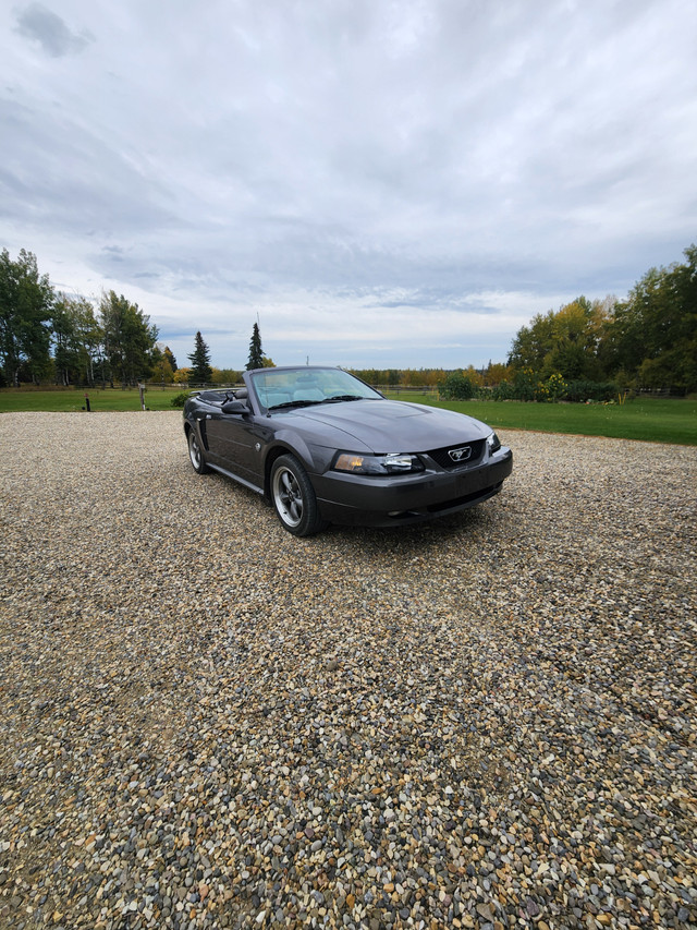2004 Mustang GT in Cars & Trucks in Edmonton