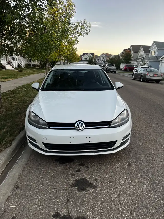 2015 Volkswagen Golf63871251506689122