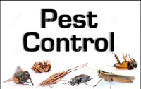 Pest Control,Exterminator,Bed Bugs,Roaches647--370--9822