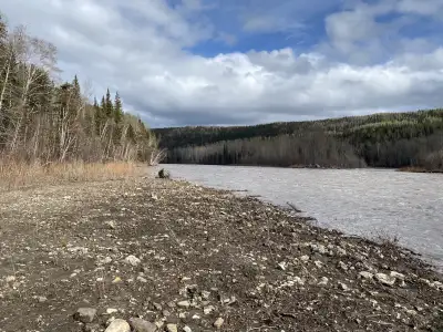 Build your dream house, cabin or Lodge in the middle of most beautiful part of the Yukon, South-East...