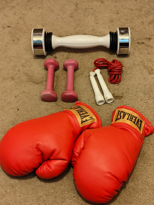 Workout Stuff (Shakeweight, Boxing gloves, Weights) | Exercise Equipment |  Mississauga / Peel Region | Kijiji