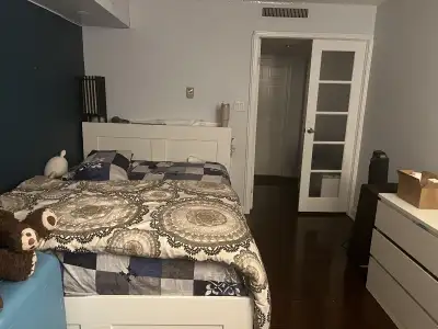 Sharing one Furnished Master bedroom is in Condo with a girl who is already here from month of Novem...