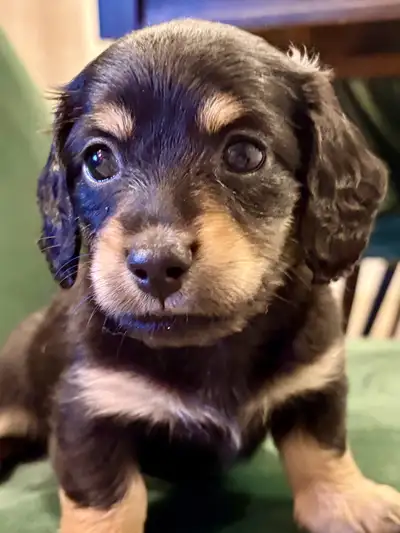 He’s found his home, View more