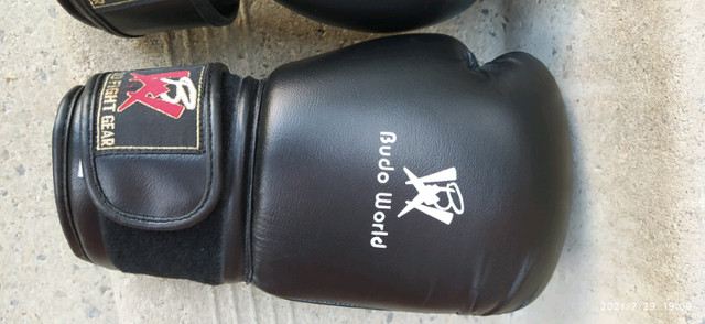 Budo world boxing gloves Exercise Equipment Mississauga Peel