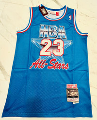 MJ All star Jersey 1993