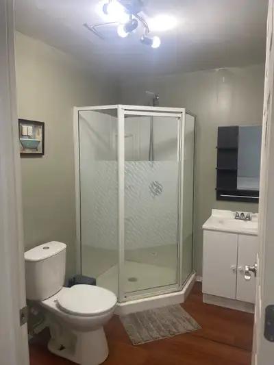 Room For Rent Available in Basement from June 1st with personal washroom House is in quite neighborh...