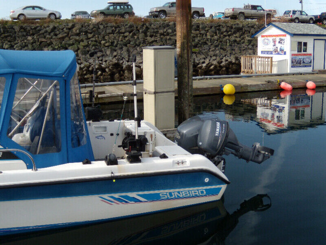 23' Walk-Around Covered Sport Fishing Boat in Powerboats & Motorboats in Campbell River - Image 4