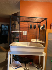 Small animal cage $75