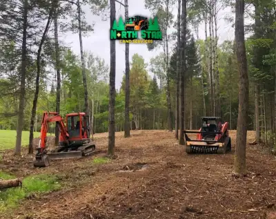 Land clearing/Excavation work, View more