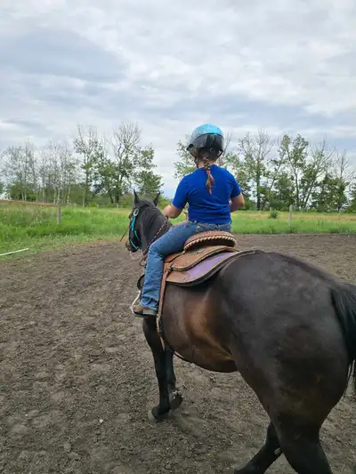 Kids rope/barrel horse looking for retirement home! relisted, View more