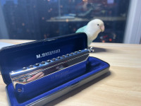 Brand new Suzuki SCX48-A 12 hole chromatic harmonica