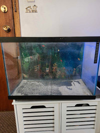 35 Gallon Fish Tank, Filter lights included + 10 filter replacem