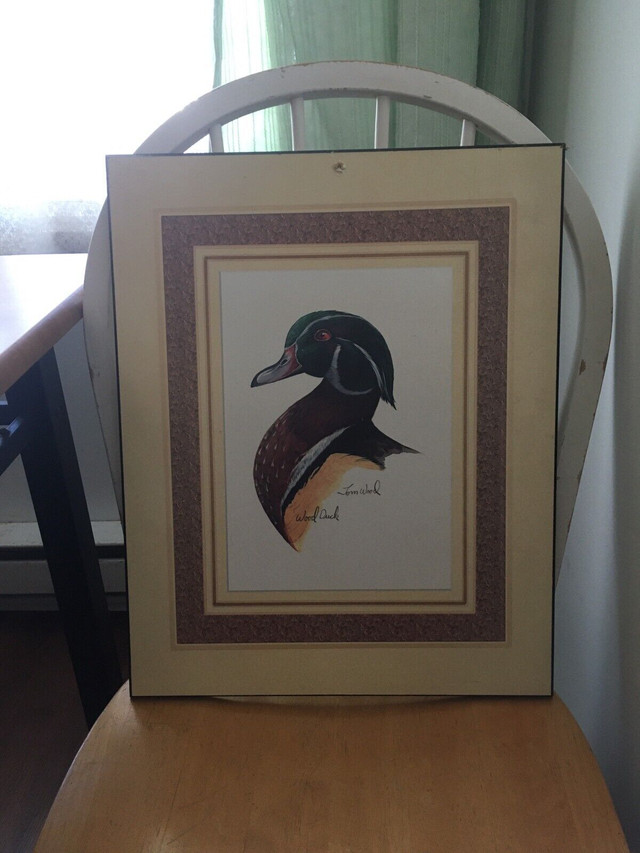 Duck pictures  in Arts & Collectibles in Cornwall - Image 2