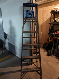 Werner 6-foot ladder