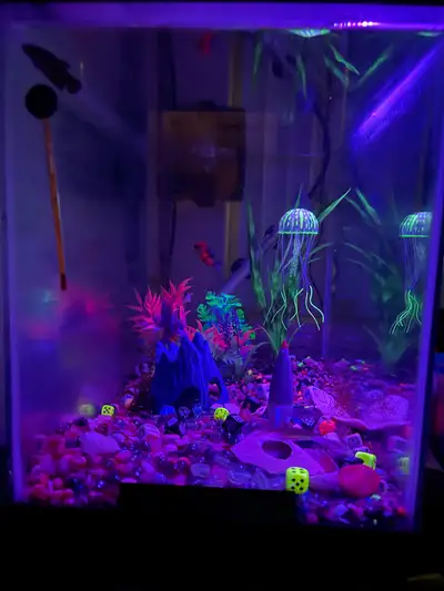 Fish Tank/Fish rescue, View more