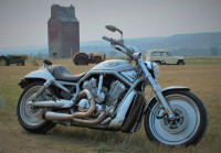 2003 Harley Davidson Vrod