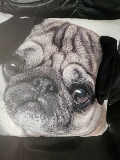 Soft (fuzzy) pillow with picture of a Pug on the front. The ears can move up or down. Plain beige ba...