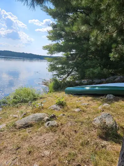 Hi - We used these over 2 summers very lightly. They are wonderful canoes and in great condition. 2...