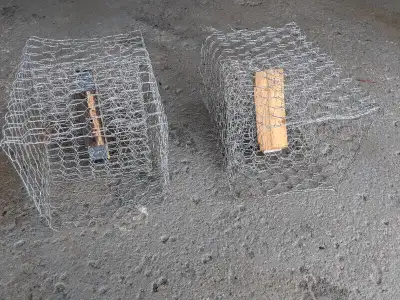 ⭕Skunk, squirrel eviction one way door, View more