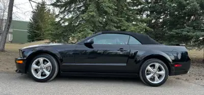 California Special Trim package 4.6 l 300hp 5 spd manual. Aluminum Alloy 5 spoke rims 2 tone leather...