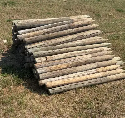 6ft fence posts, View more