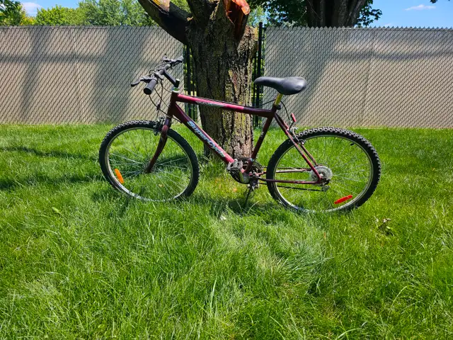 Vélo Supercycle 1500 in Cruiser, Commuter & Hybrid in Longueuil / South Shore - Image 2