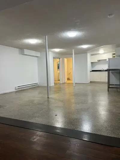 Renovated Loft apartment. Fridge & Stove included Washer & Dryer entries All amenities walking dista...