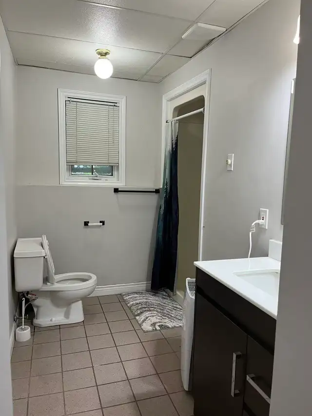 2 bedroom basement for long term renting in Long Term Rentals in Charlottetown - Image 5