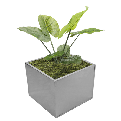 SALE! FOR $3 - SILVER AND BLACK PLANTER, View more